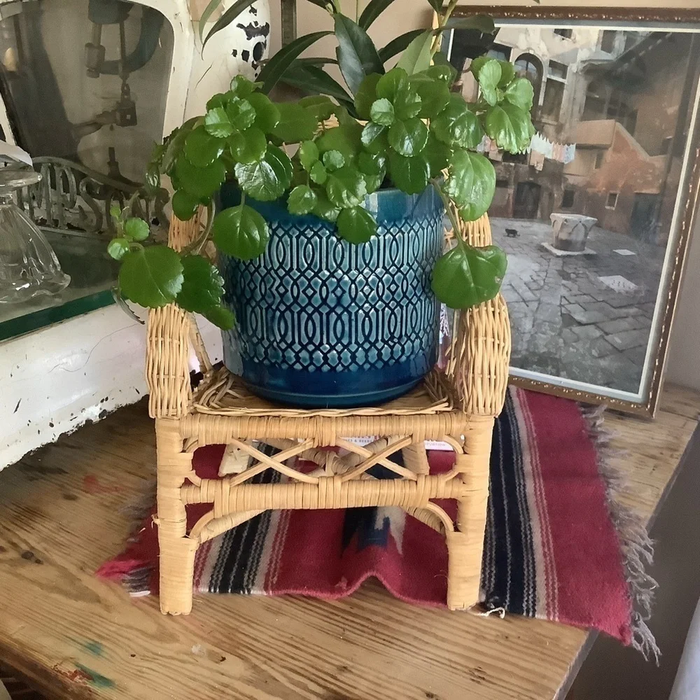 Vintage Boho Wicker Chair Planter